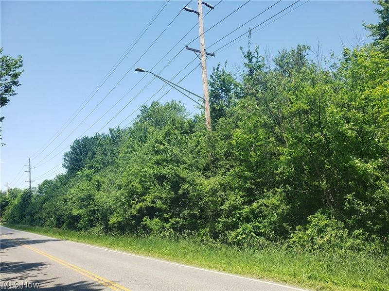 VL E Hamilton Street, Oberlin, OH 44074 Photo 2