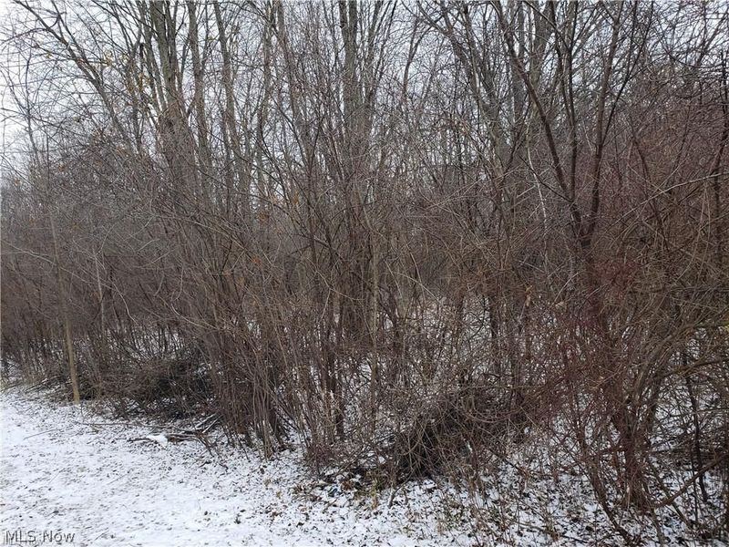 VL E Hamilton Street, Oberlin, OH 44074 Photo 5