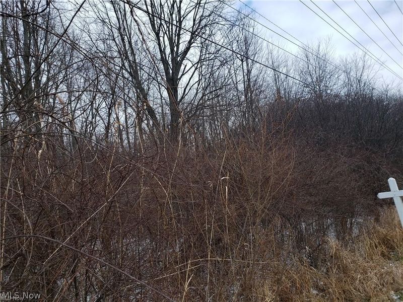 VL E Hamilton Street, Oberlin, OH 44074 Photo 6