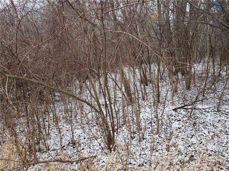 VL E Hamilton Street, Oberlin, OH 44074 Photo 7