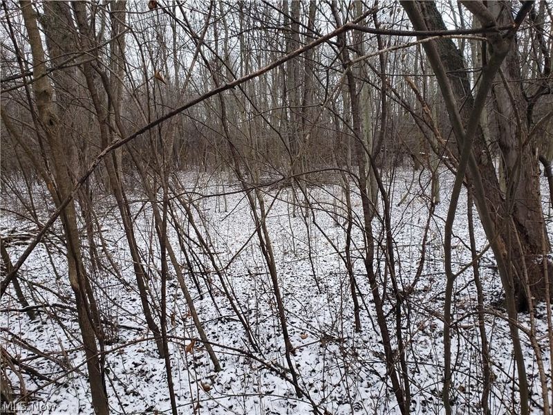 VL E Hamilton Street, Oberlin, OH 44074 Photo 8