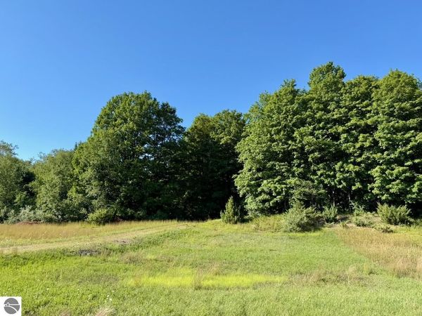 Alden Meadows Drive, Alden, MI 49612