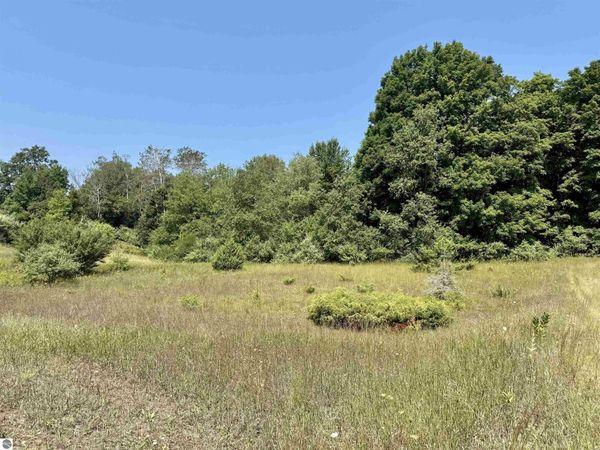 Alden Meadows Drive, Alden, MI 49612