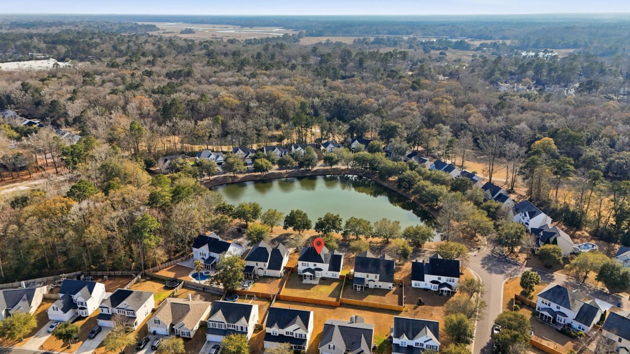 9672 Pebble Creek Boulevard Photo 46