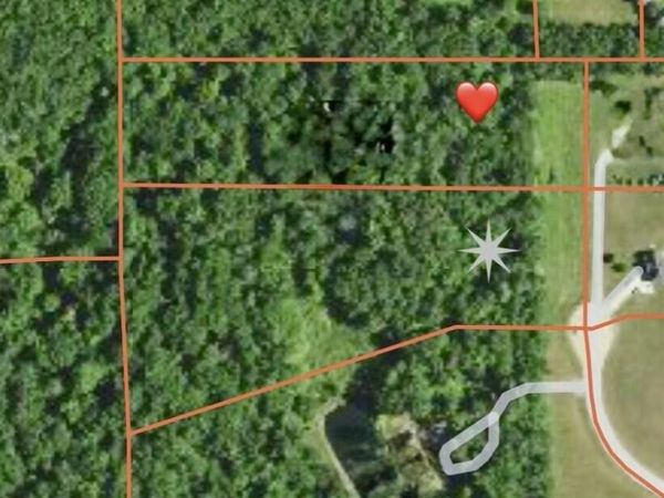 Ashlyn Court, Fowlerville, MI 48836