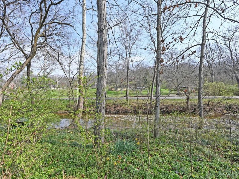 2 Stoney Creek Lane, Terrace Park, OH 45174 Photo 48