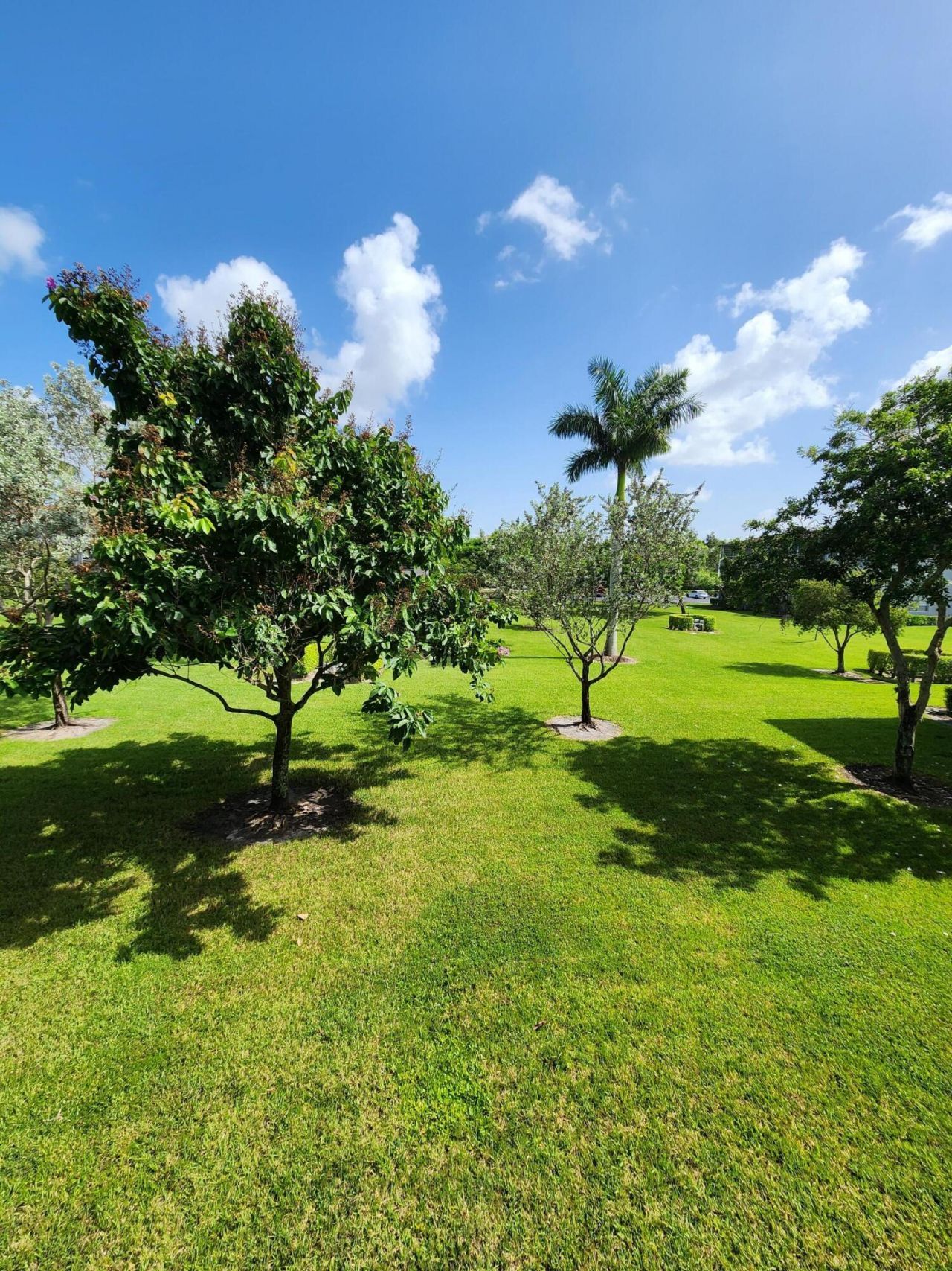 106 Suffolk C, Boca Raton, FL 33434 Photo