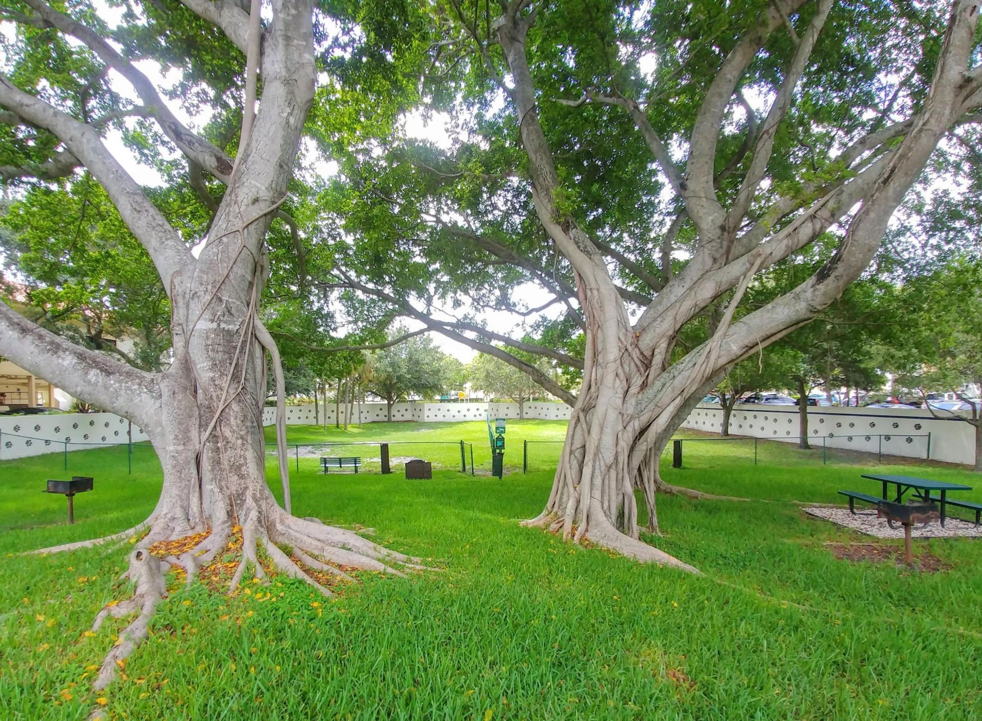 3130 Millwood Terrace, Unit 2160, Boca Raton, FL 33431 Photo