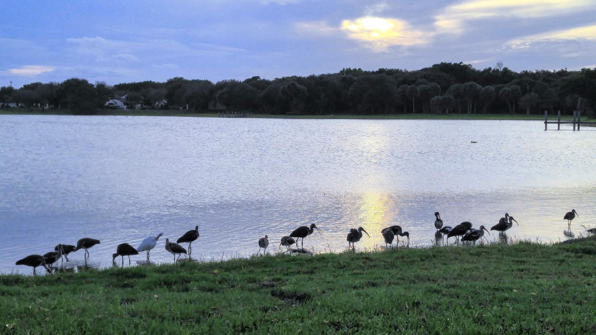 3130 Millwood Terrace, Unit 2160, Boca Raton, FL 33431 Photo