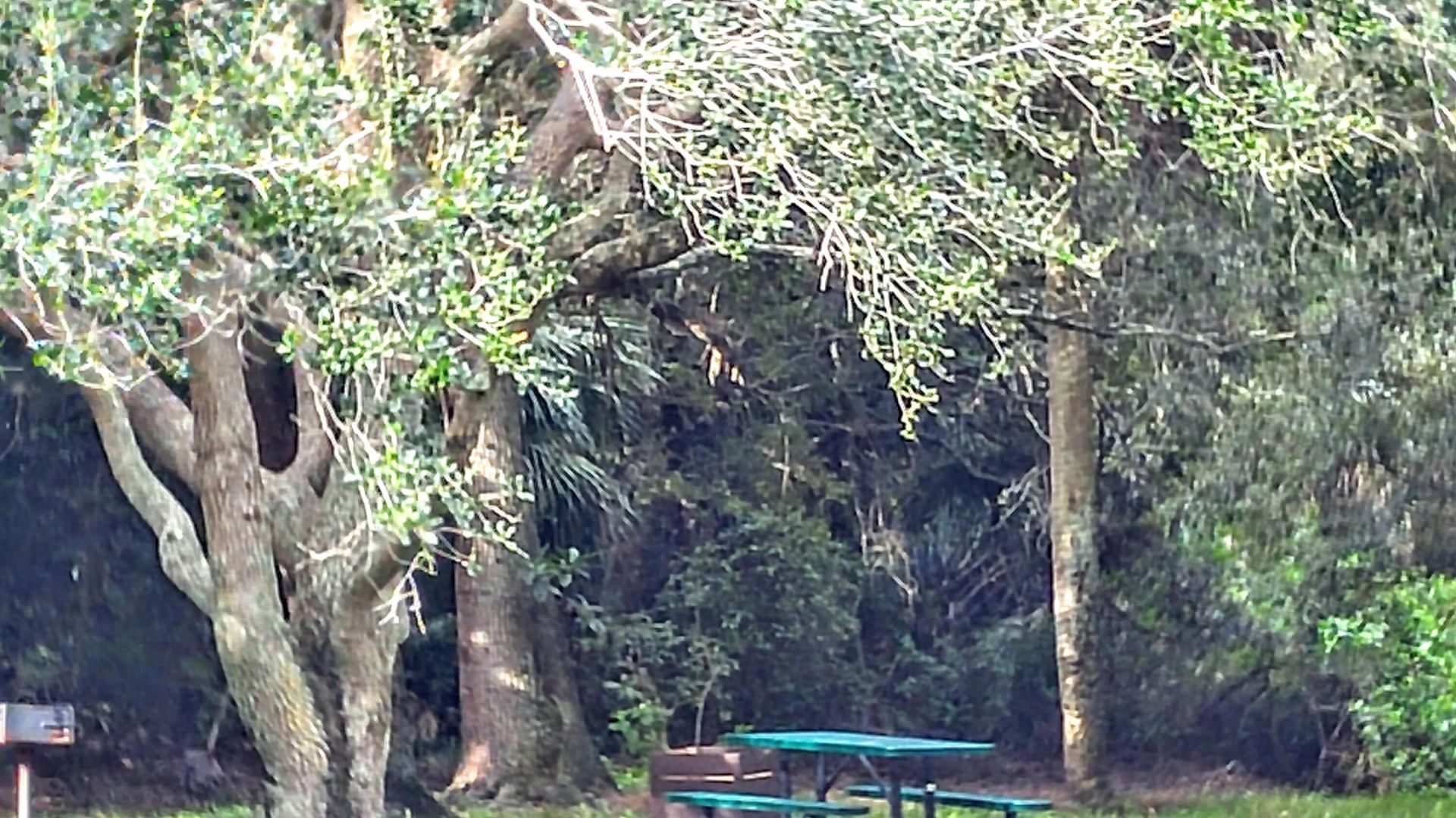 3130 Millwood Terrace, Unit 2160, Boca Raton, FL 33431 Photo