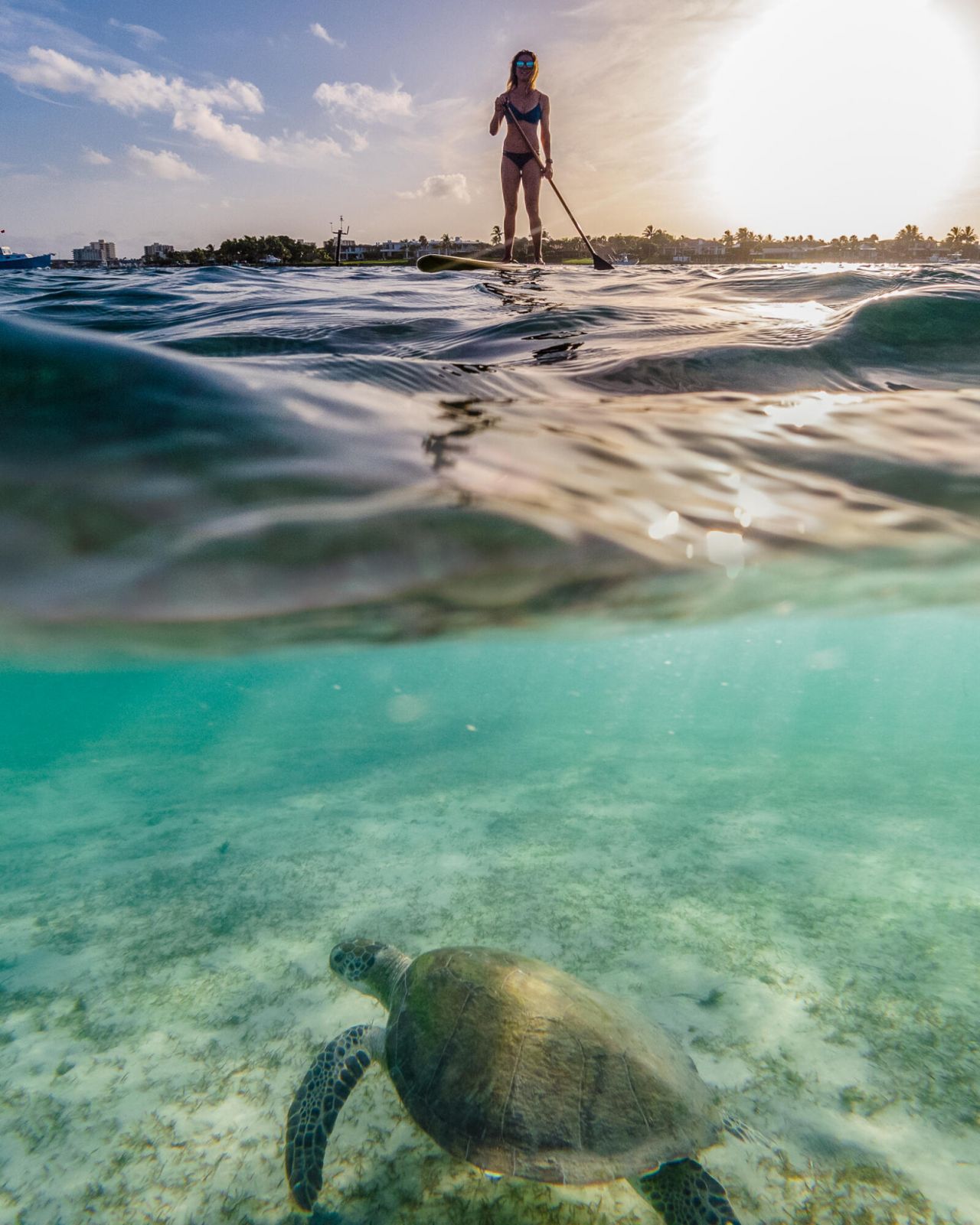 1135 Turnbridge Drive, Jupiter, FL 33458 Photo