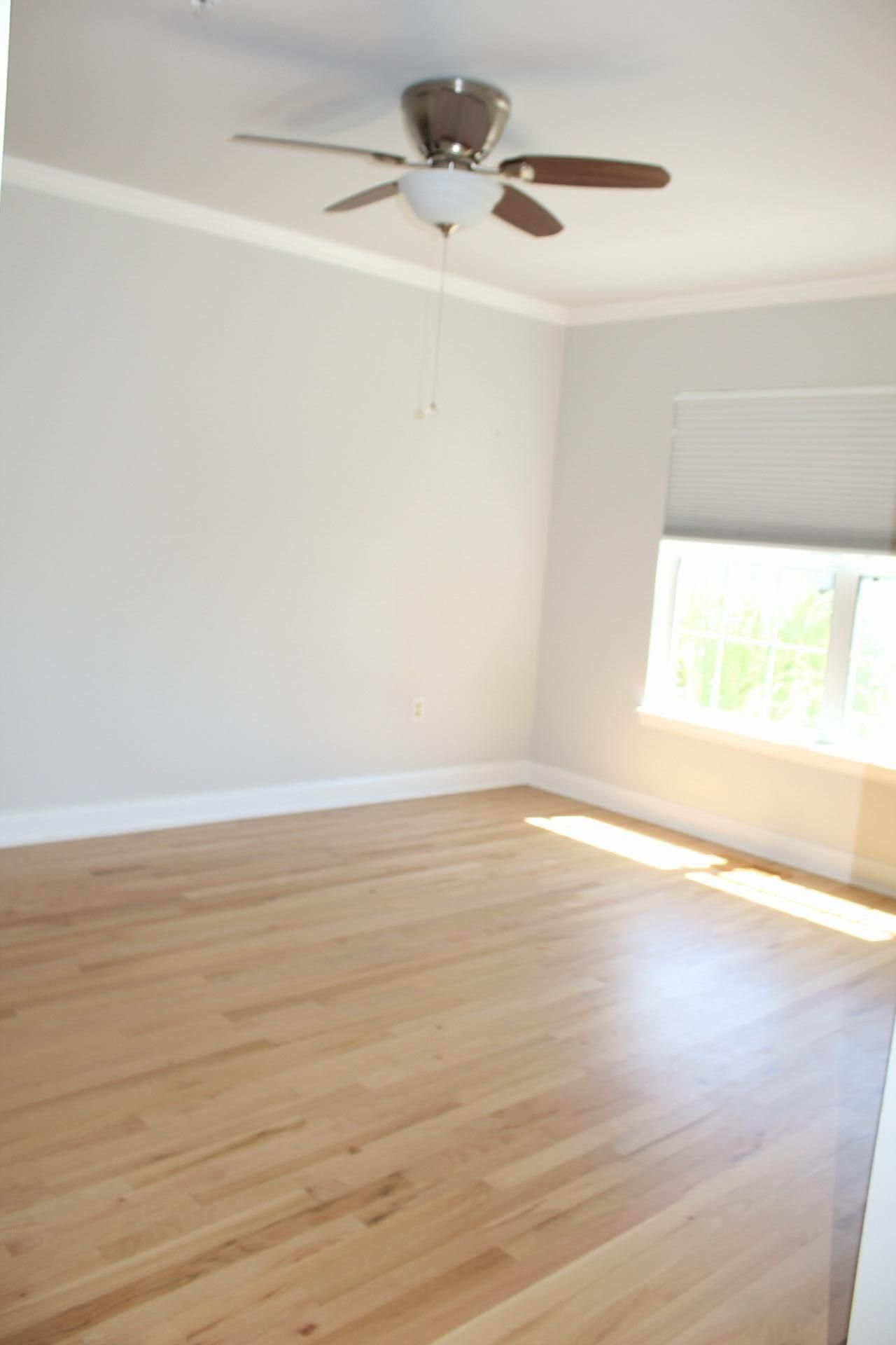 4527 Great Oak Drive Photo 15