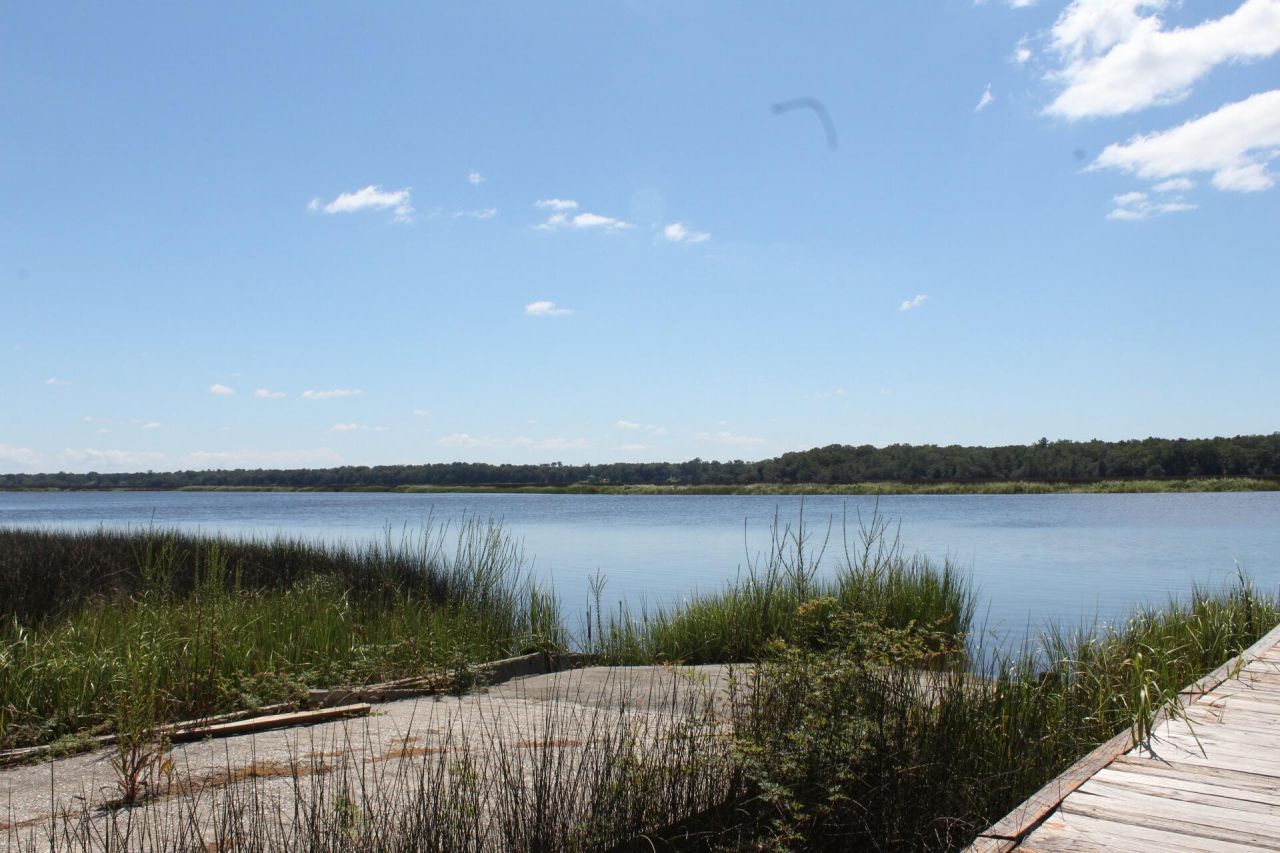 4527 Great Oak Drive Photo 20