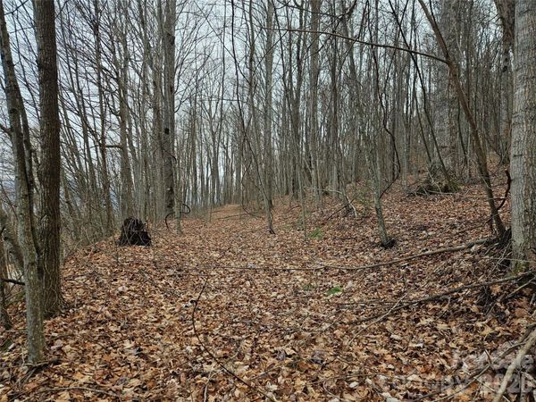 000 Slippery Rock Lane , Waynesville, NC 28785