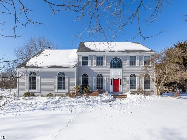 110 Distillery Rd, Readington, NJ 08889