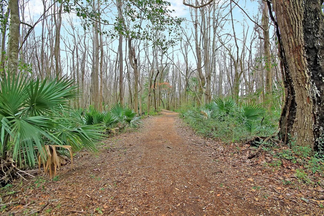 3845 Tupelo Branch Row Photo 56