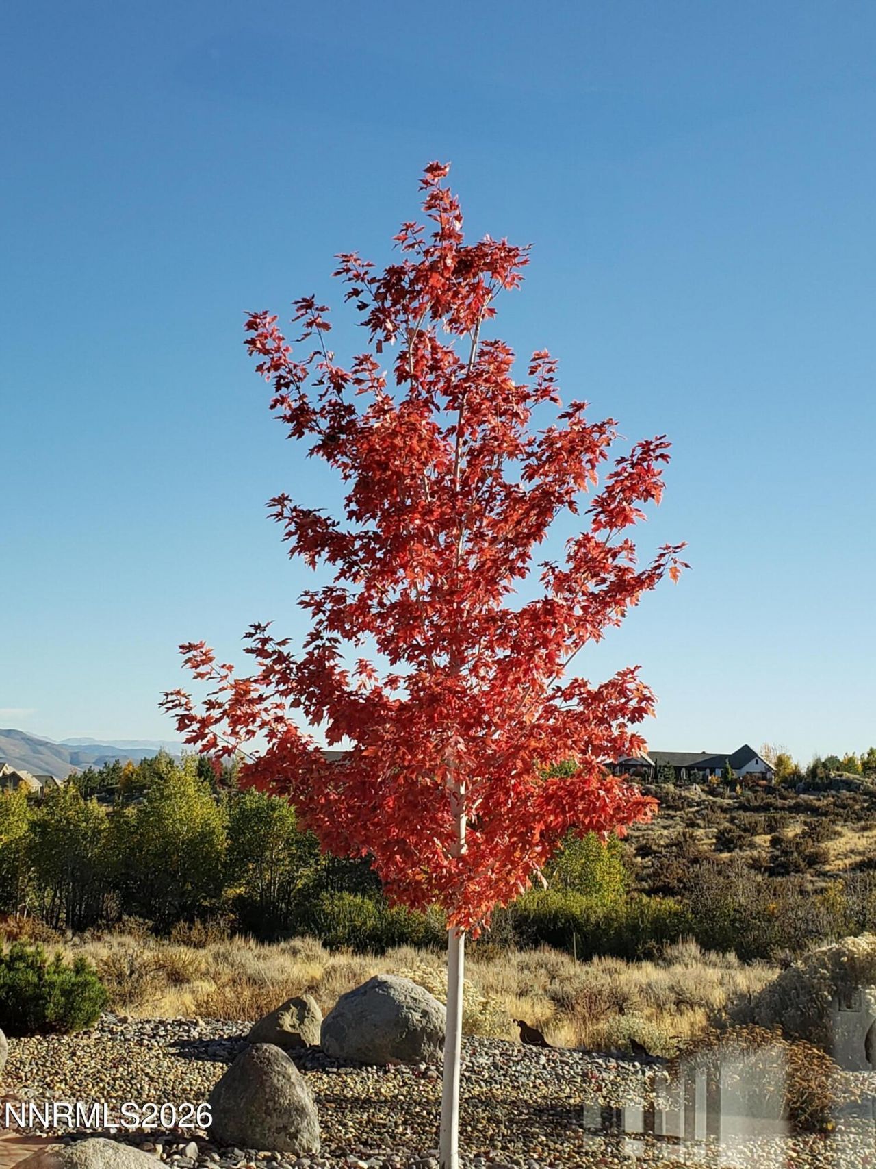 5452 Salmon River Court, Reno, NV 89511 Photo