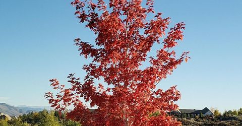 5452 Salmon River Court, Reno, NV 89511 Photo