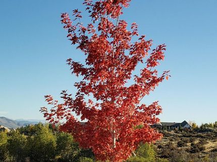 5452 Salmon River Court, Reno, NV 89511 Photo