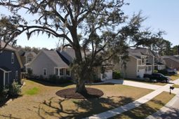 167 Daniels Ridge Drive photo 4