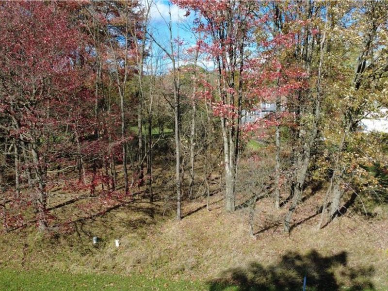 Village Drive, Broadview Heights, OH 44147 Photo 7