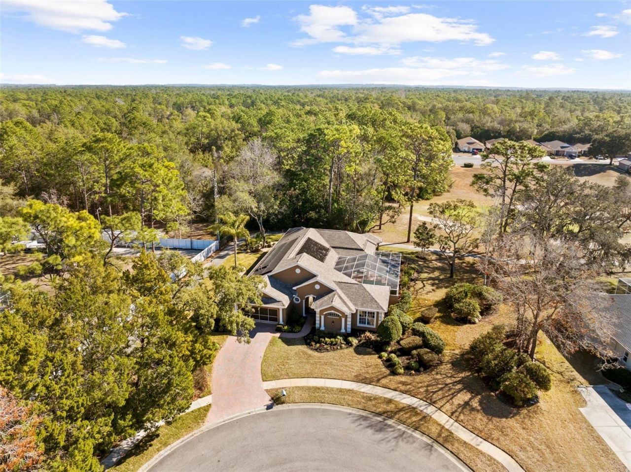 15198 Surrey Bend, Spring Hill, FL 34609 Photo