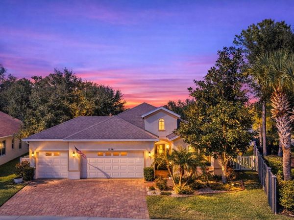 19341 RED SKY COURT, LAND O LAKES, FL 34638