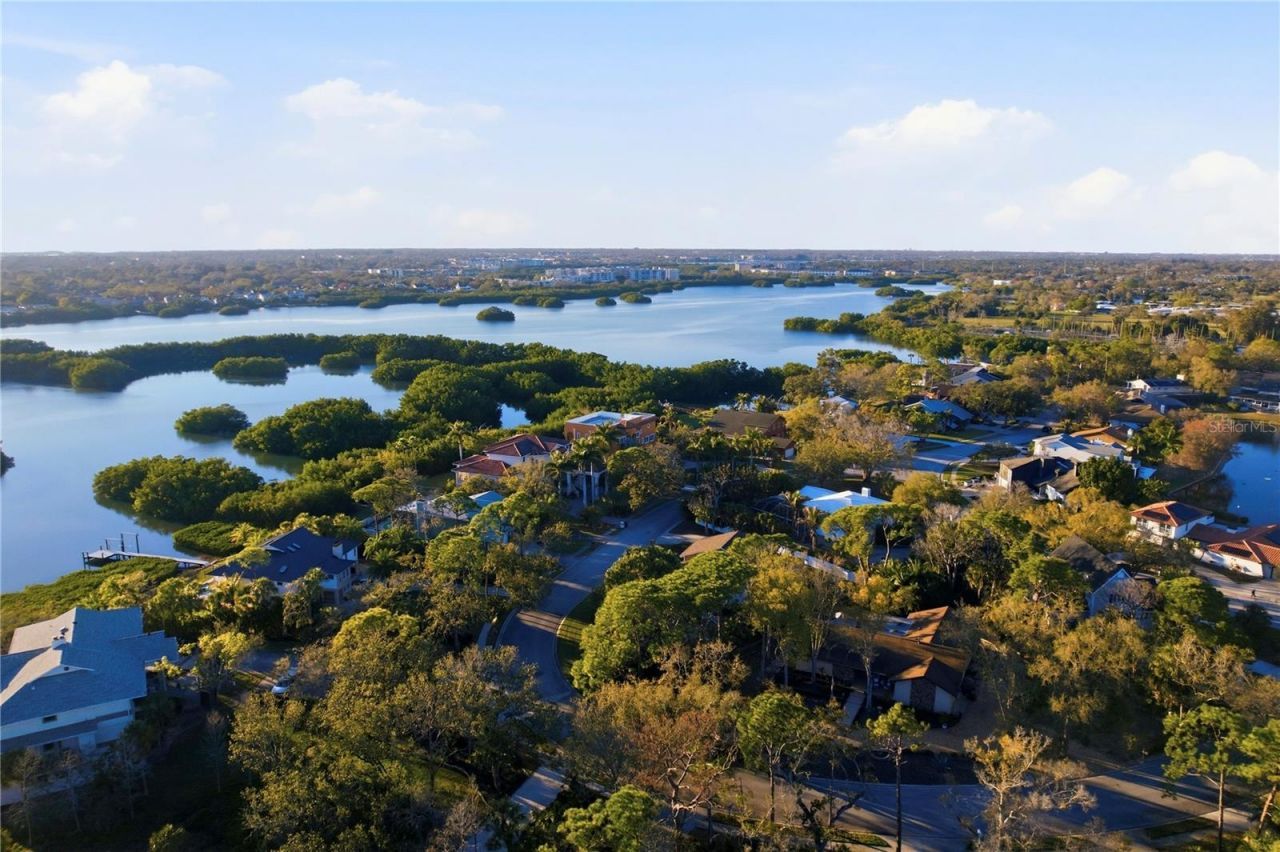 9017 Baywood Park Drive, Seminole, FL 33777 Photo