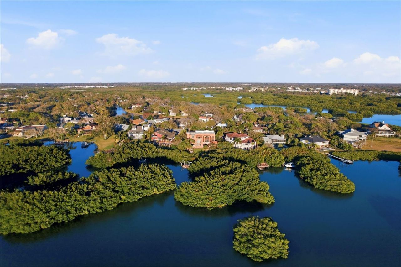 9017 Baywood Park Drive, Seminole, FL 33777 Photo