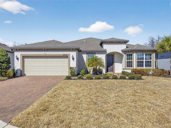 18535 COASTAL SHORE TERRACE, LAND O LAKES, FL 34638