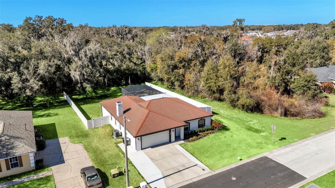 2908 Blackwater Oaks Drive, Mulberry, FL 33860 Photo