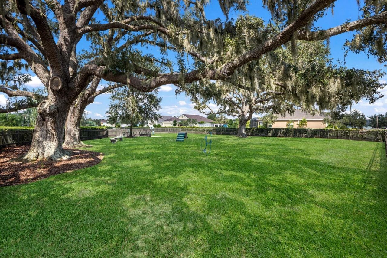 11770 Hidden Forest Loop, Parrish, FL 34219 Photo