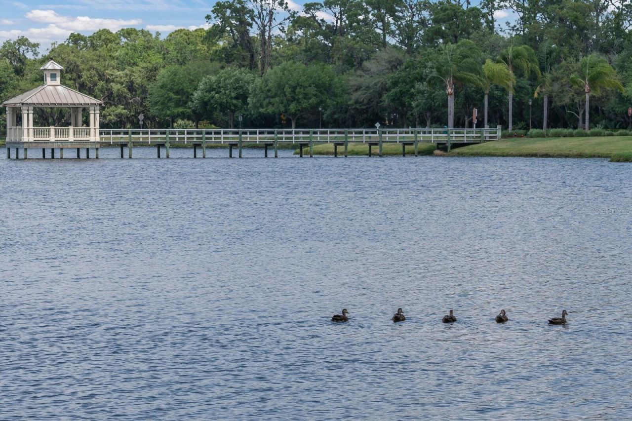 11770 Hidden Forest Loop, Parrish, FL 34219 Photo