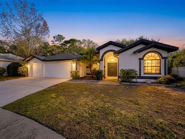 10006 VISTA POINTE DRIVE, TAMPA, FL 33635