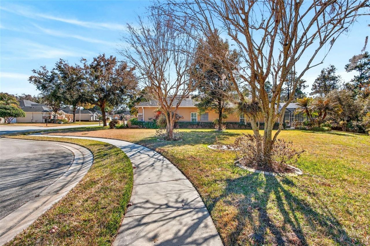 945 Sago Palm Cove, Oviedo, FL 32766 Photo