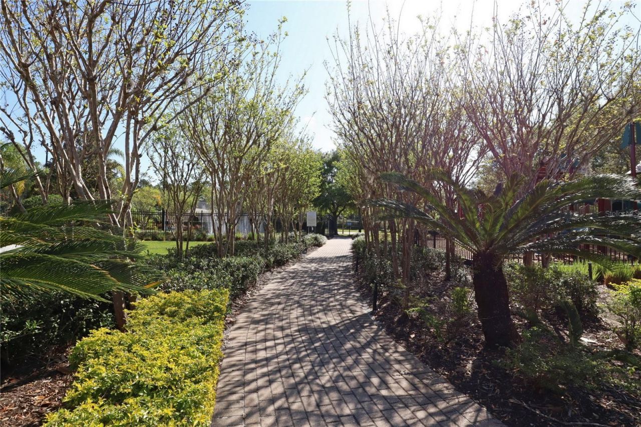 945 Sago Palm Cove, Oviedo, FL 32766 Photo