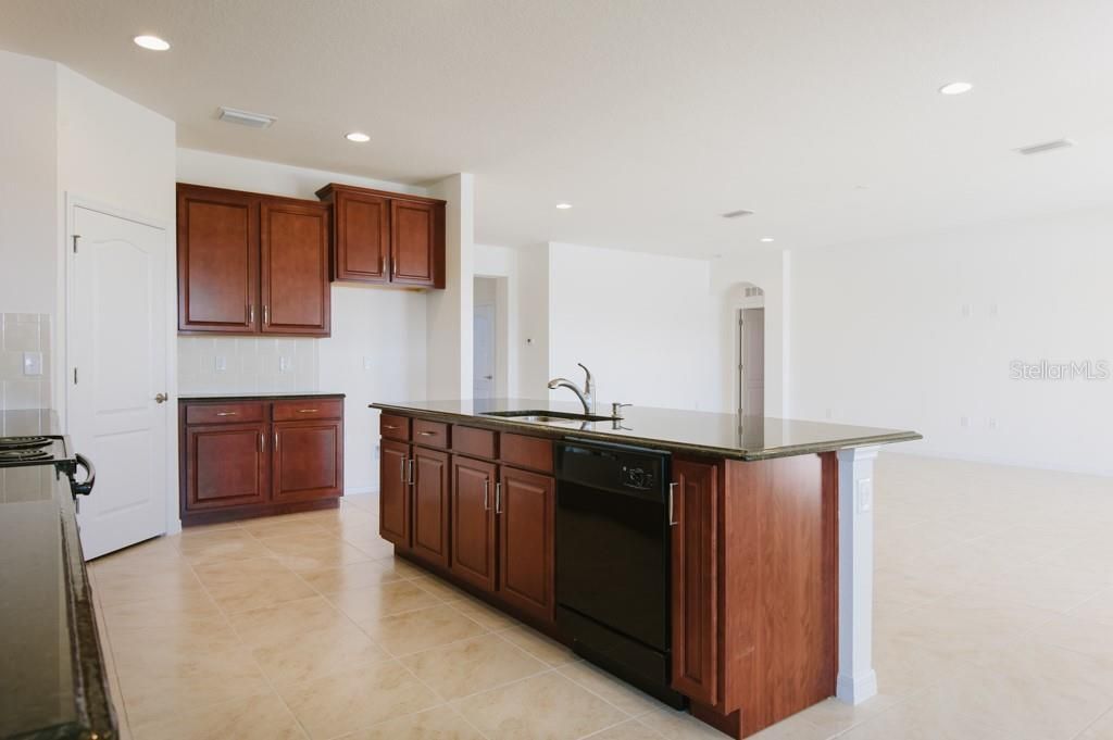 15543 Trinity Fall Way, Bradenton, FL 34212 Photo