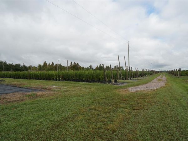DOUGLAS ROAD, GROVELAND, FL 34736