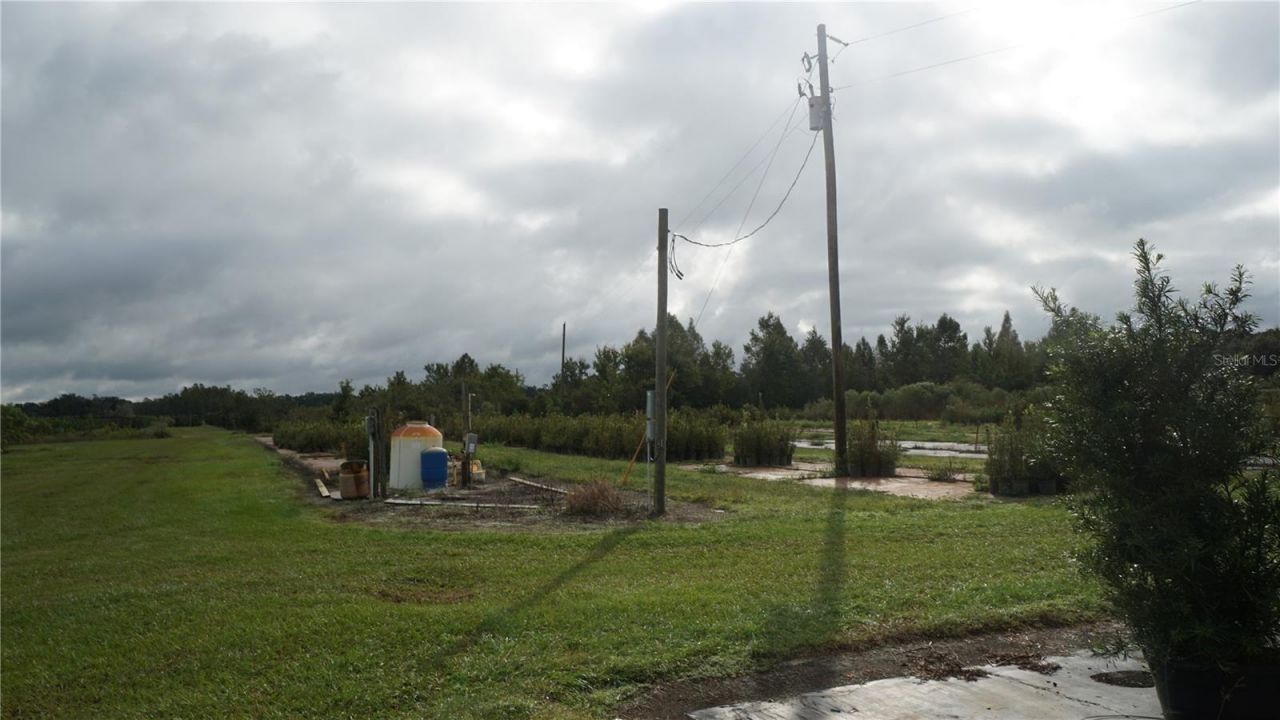 Douglas Road, Groveland, FL 34736 Photo