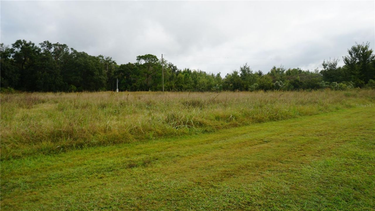 Douglas Road, Groveland, FL 34736 Photo