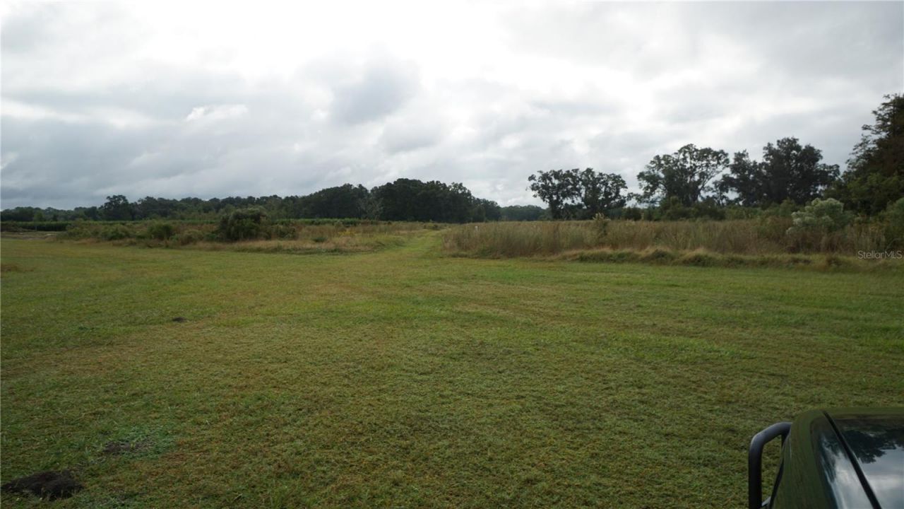 Douglas Road, Groveland, FL 34736 Photo