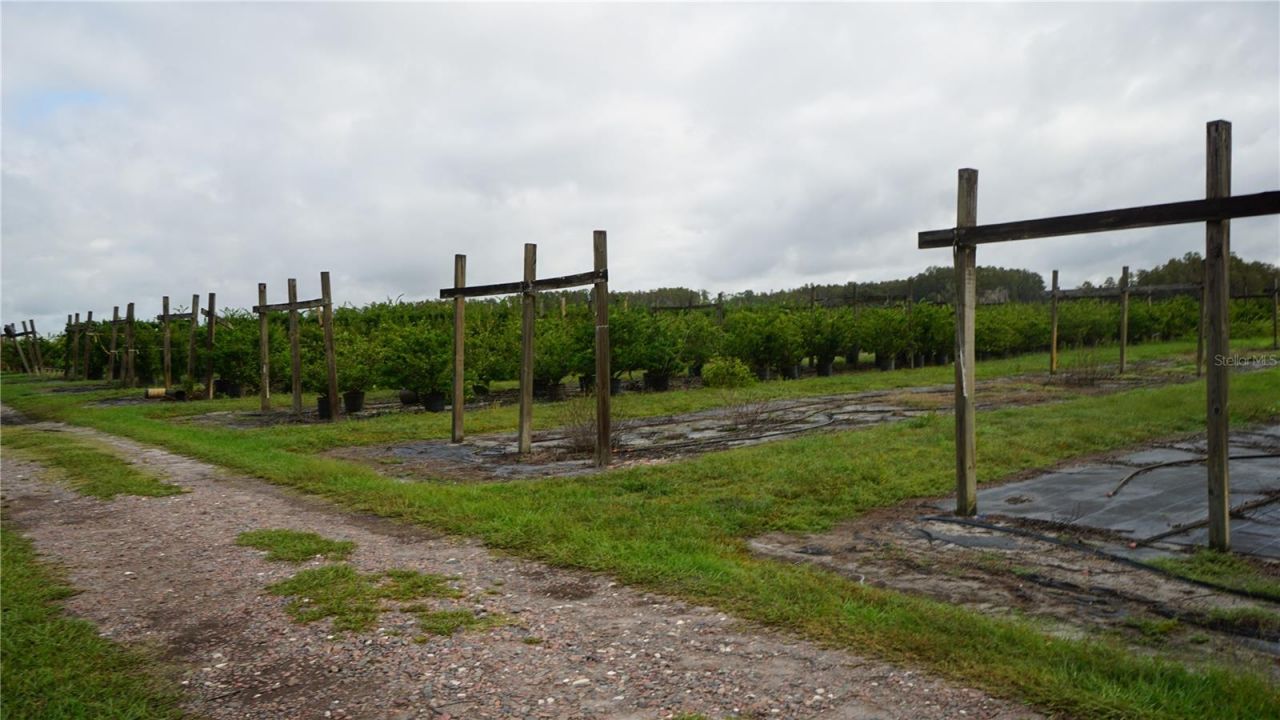 Douglas Road, Groveland, FL 34736 Photo