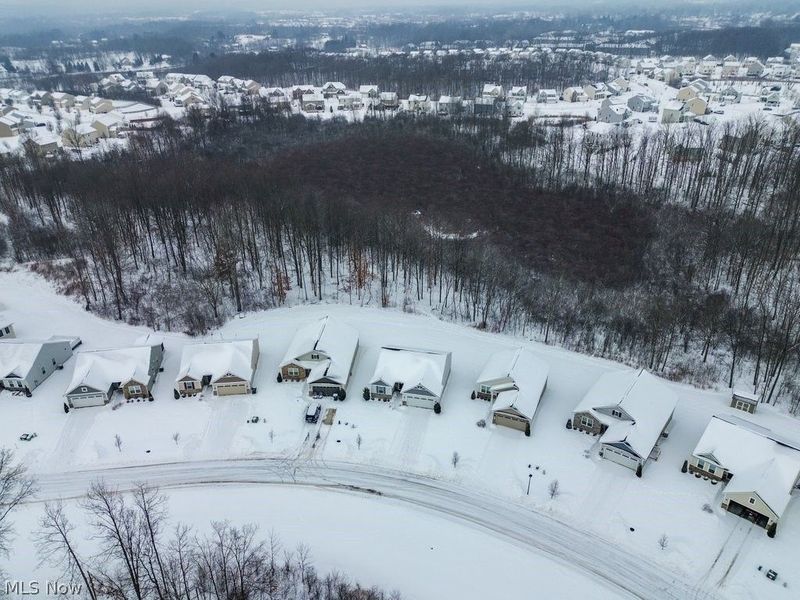 1595 Leslie Drive, Streetsboro, OH 44241 Photo 34