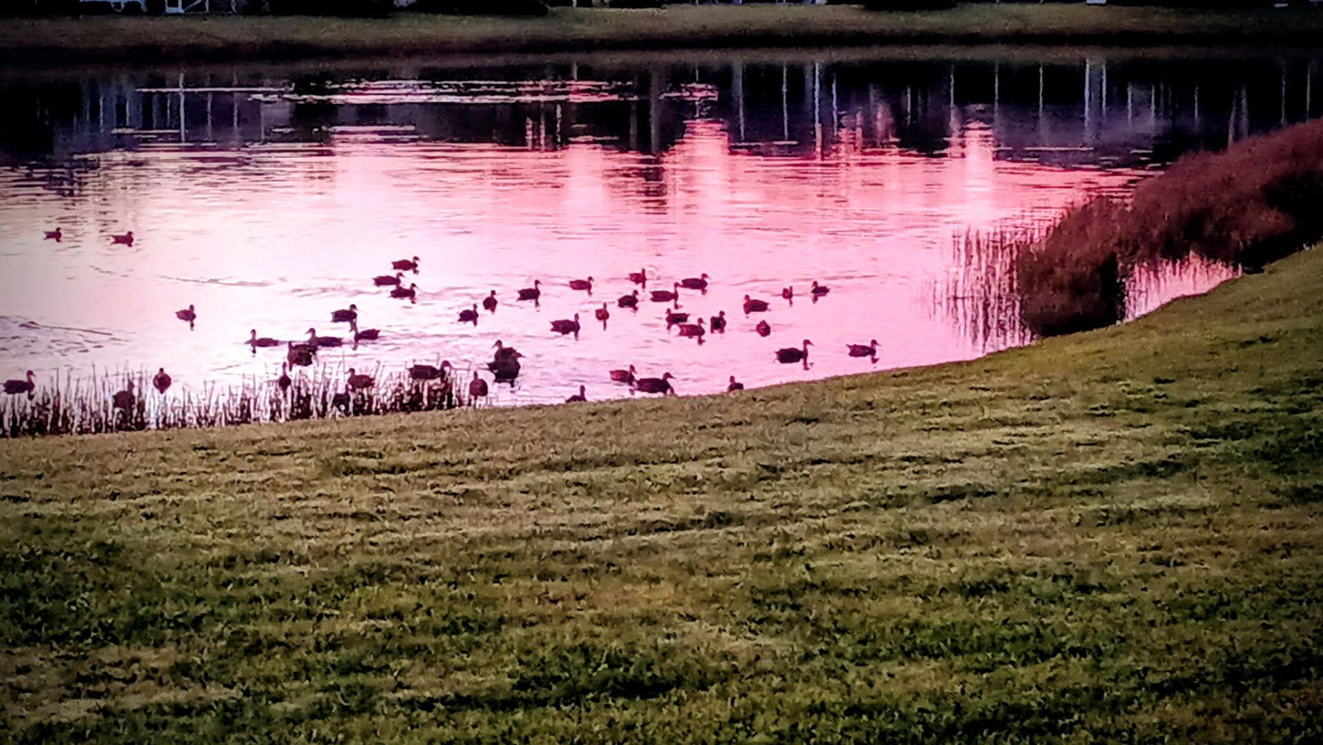 193 NW Bentley Circle, Port Saint Lucie, FL 34986 Photo