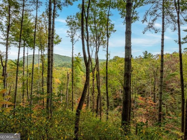 LOT 1 Chief Whitetails Road, Ellijay, GA 30540