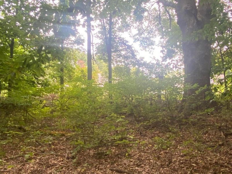 0 Paul Road , Westerville, OH 43082 Photo 4