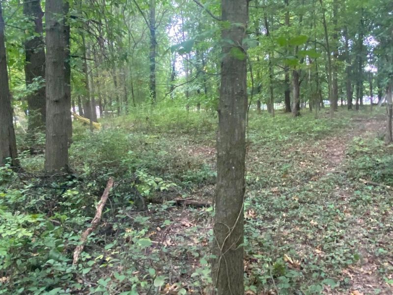 0 Paul Road , Westerville, OH 43082 Photo 5