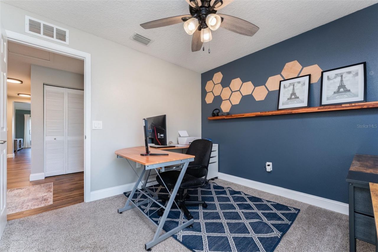 5431 Sandy Shell Drive, Apollo Beach, FL 33572 Photo