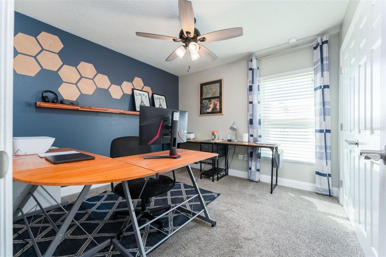 5431 Sandy Shell Drive, Apollo Beach, FL 33572 Photo