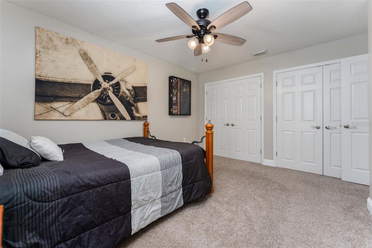 5431 Sandy Shell Drive, Apollo Beach, FL 33572 Photo